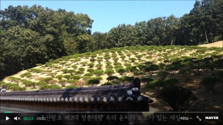 6년된 곰팡이 2015 시공