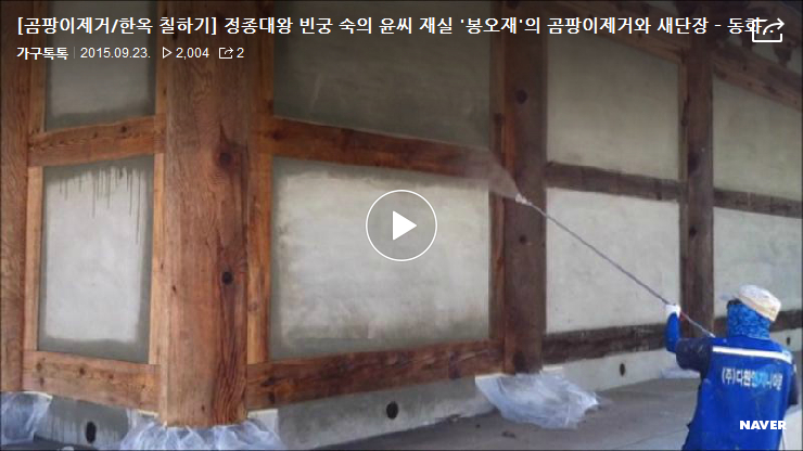 곰팡이가 안개처럼 사라지는 매직쇼