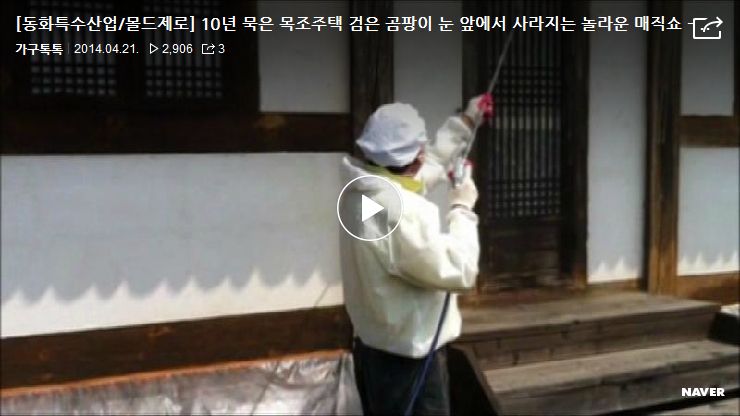 전통 한옥 그리고 십년 묵은 검은 곰팡이