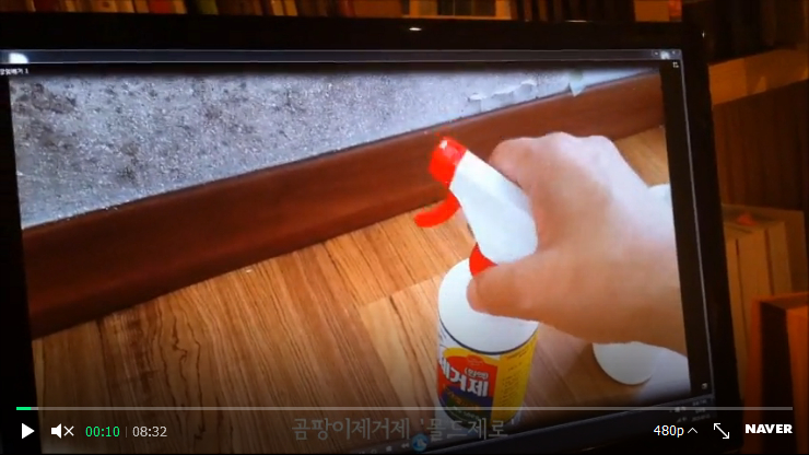 곰팡이제거 실황 그리고 몰드제로