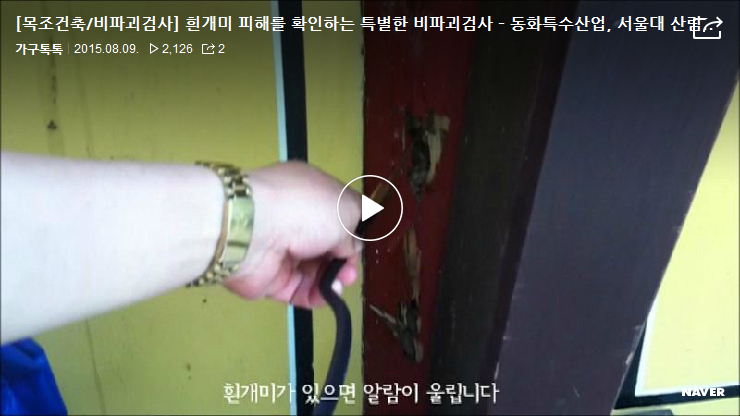 흰개미 탐지기 그리고 전문가의 소견